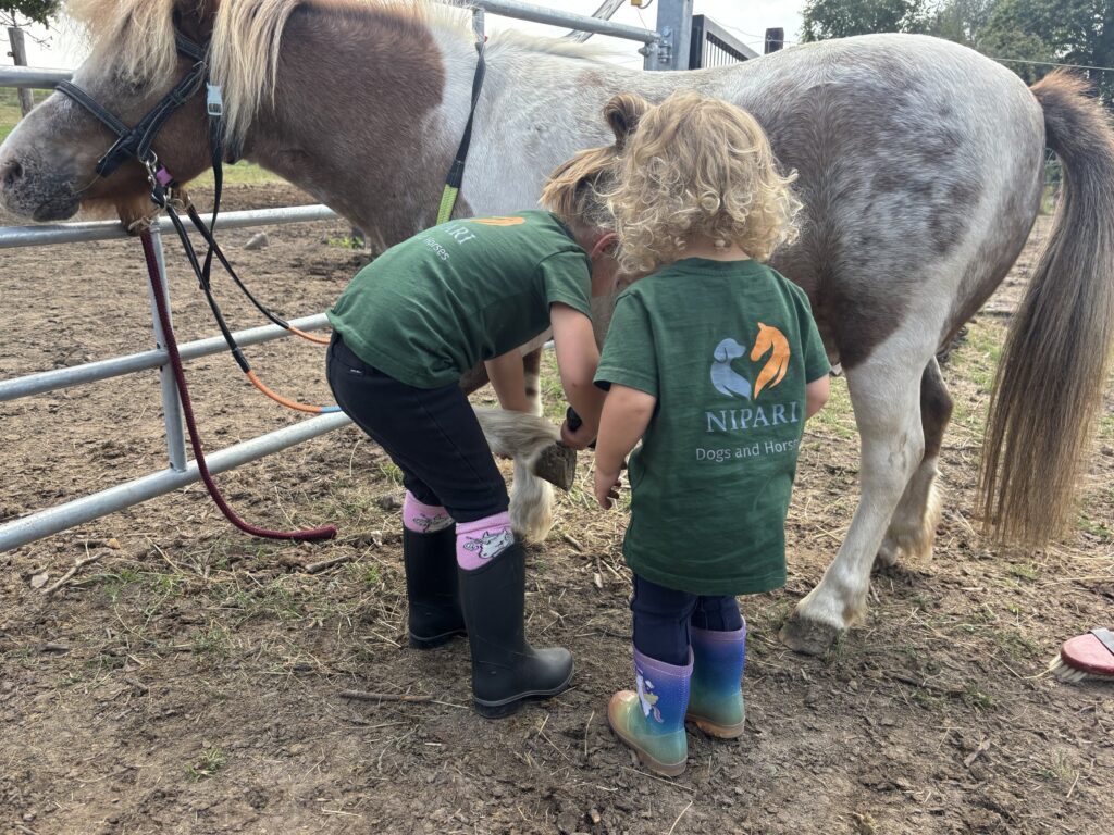 Kinderen verzorgen een pony